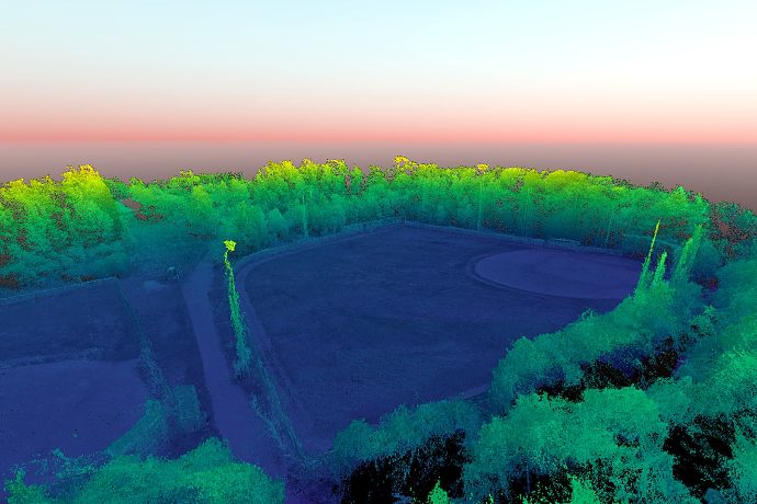 NDVI image of vegetation